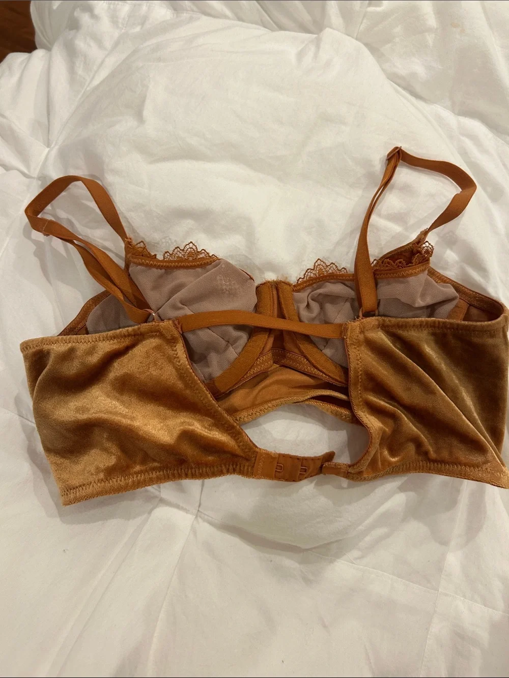 Free People Velvet Lace Bralette in Copper Brown